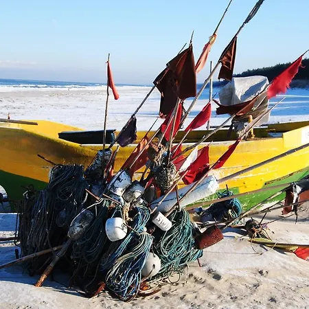 住宿加早餐酒店 Omega 3*